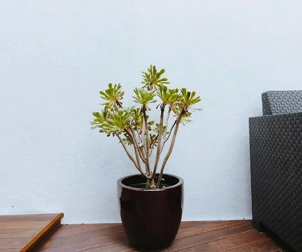 Bed & Breakfast Aduquesa -